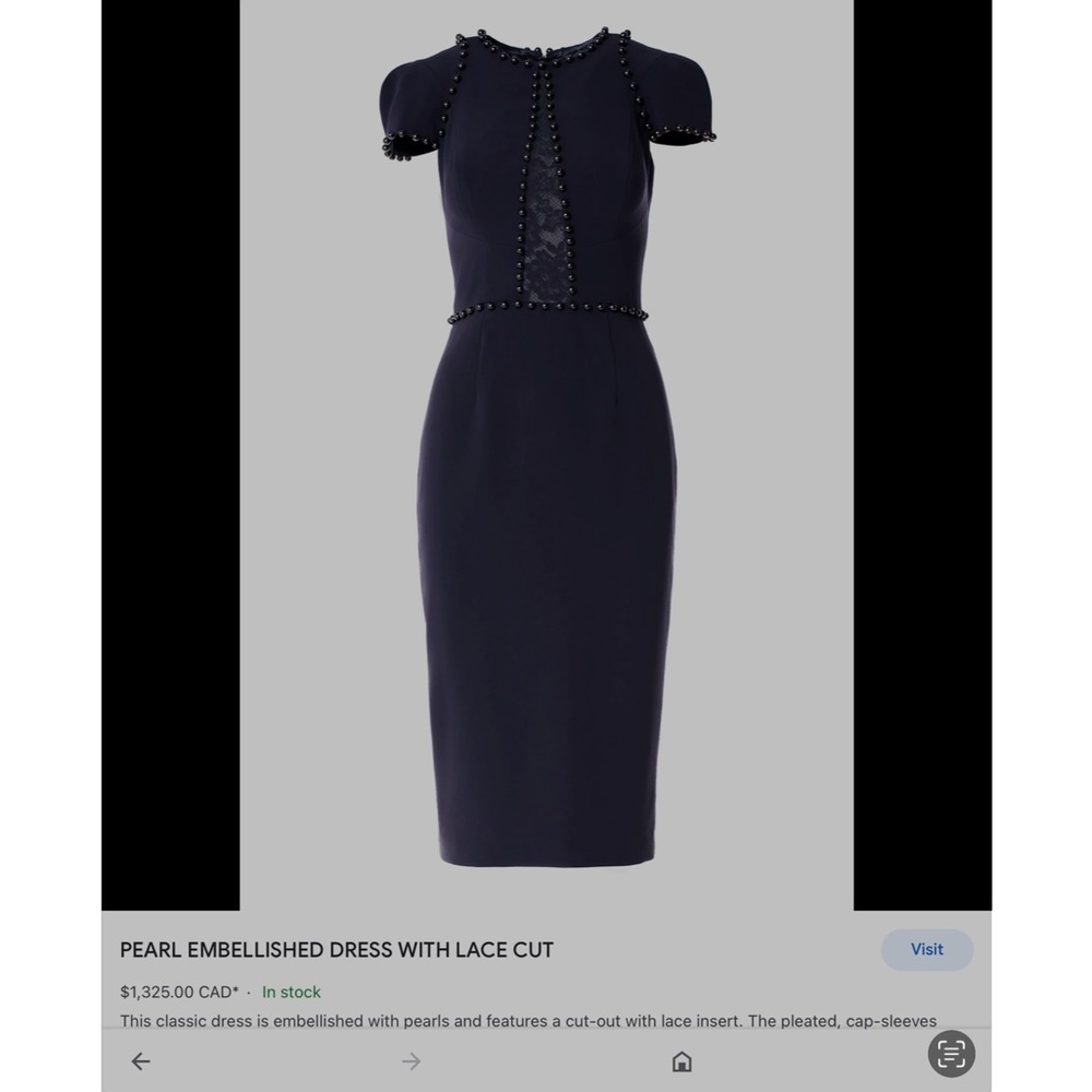 Lucian Matis Canadian Designer Elegant Gray Dress with Pearl Accents size 10